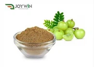 Amla Extract Powder